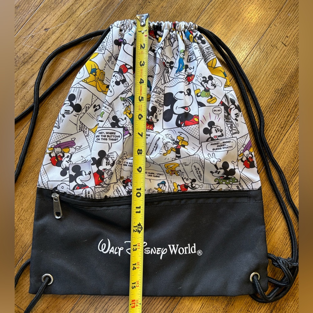 Disney world light-weight backpack.